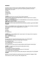 DENEME 7.pdf